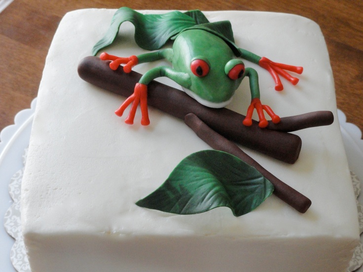 Red-Eyed Tree Frog Fondant Cake