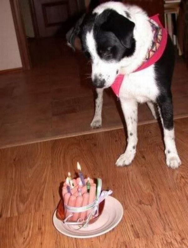 Dog Birthday Cake