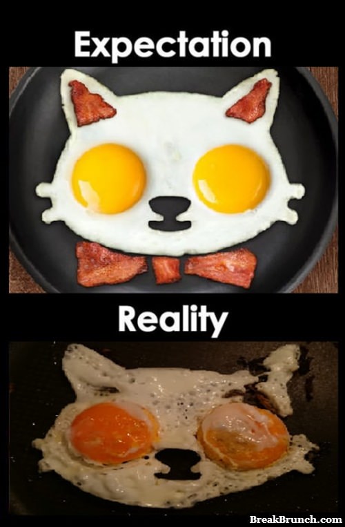 Expectation vs Reality