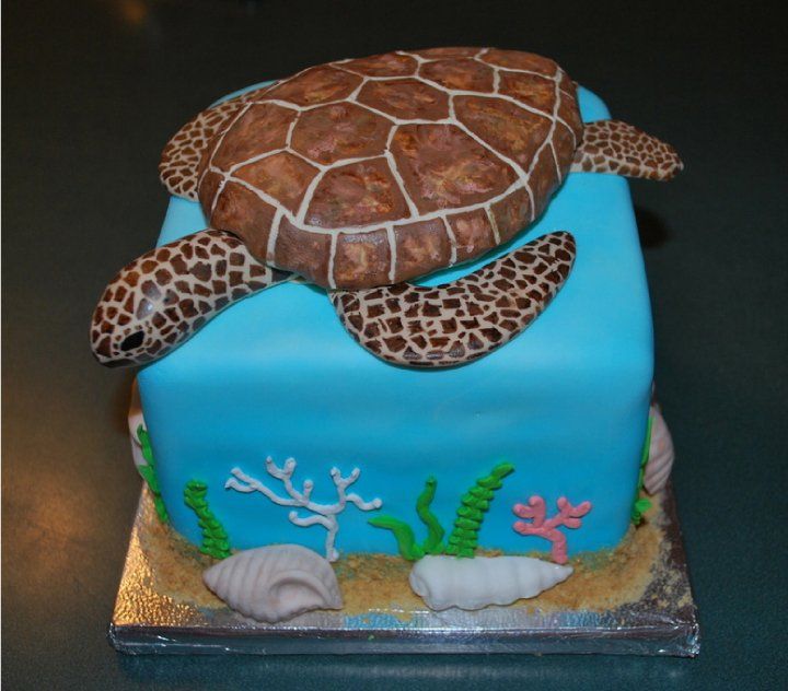 Sea Turtle Birthday Cake