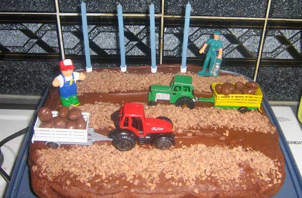 Farm Birthday Cake Ideas