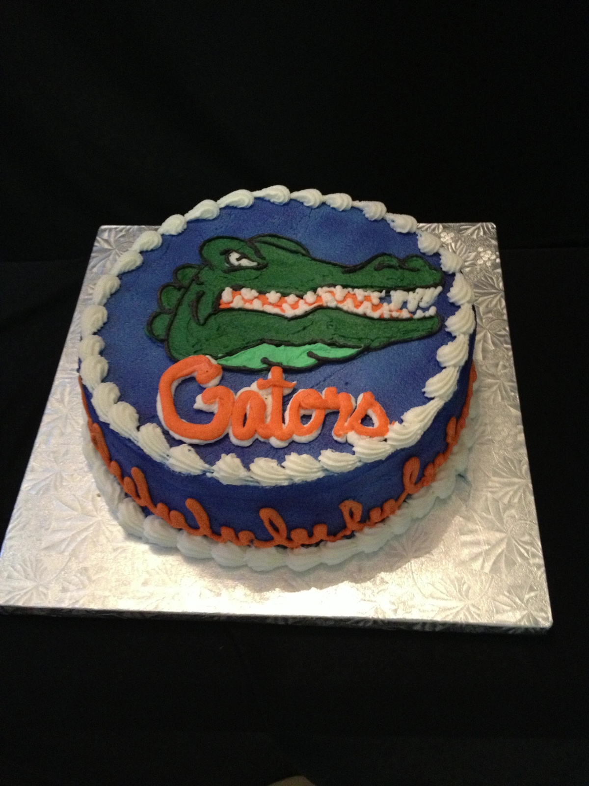 Florida Gators Cake