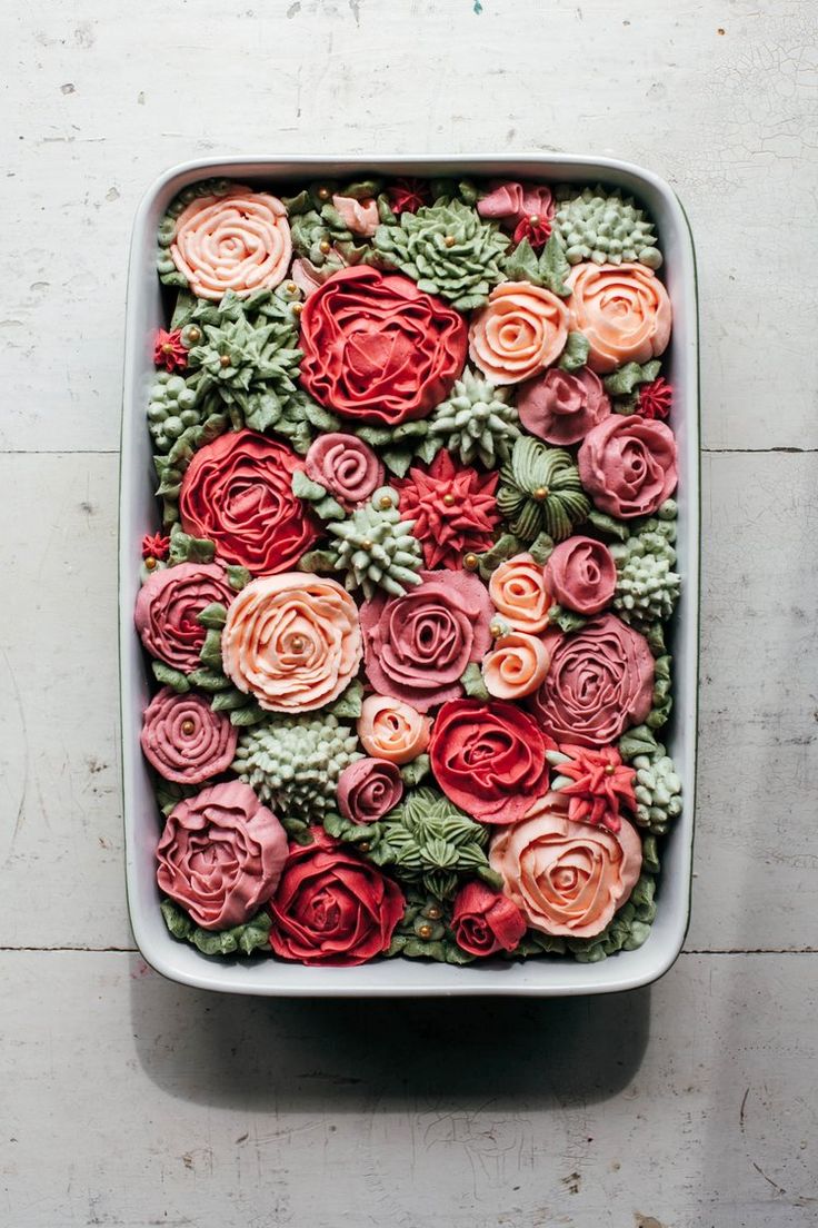 Succulent Cake