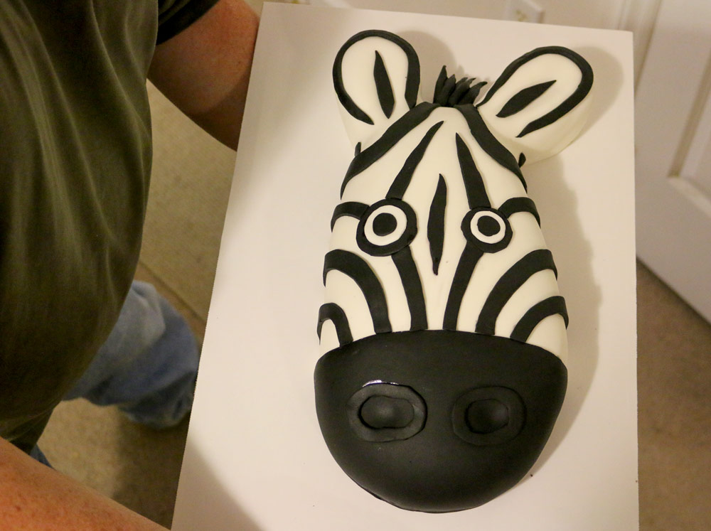 Zebra Shaped Birthday Cake