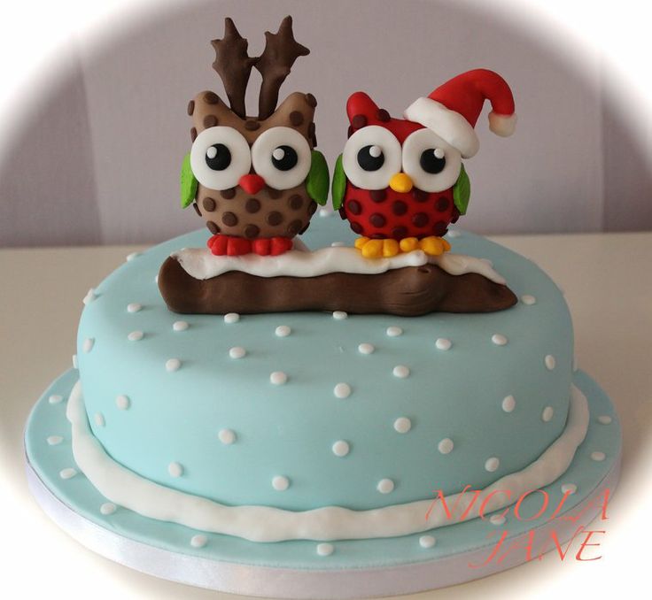 Christmas Owl Cake