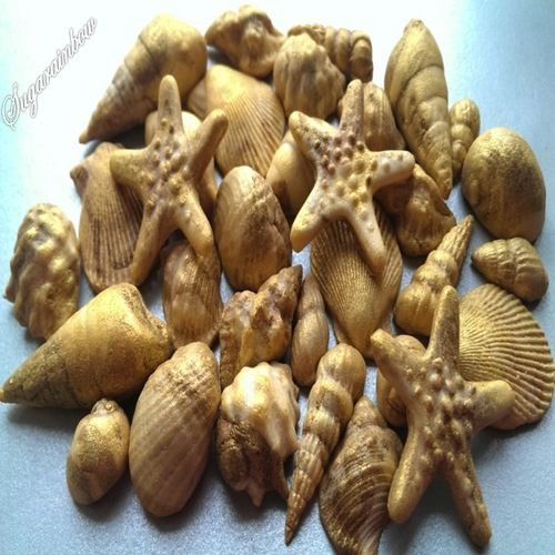 Edible Seashell Cake Decorations