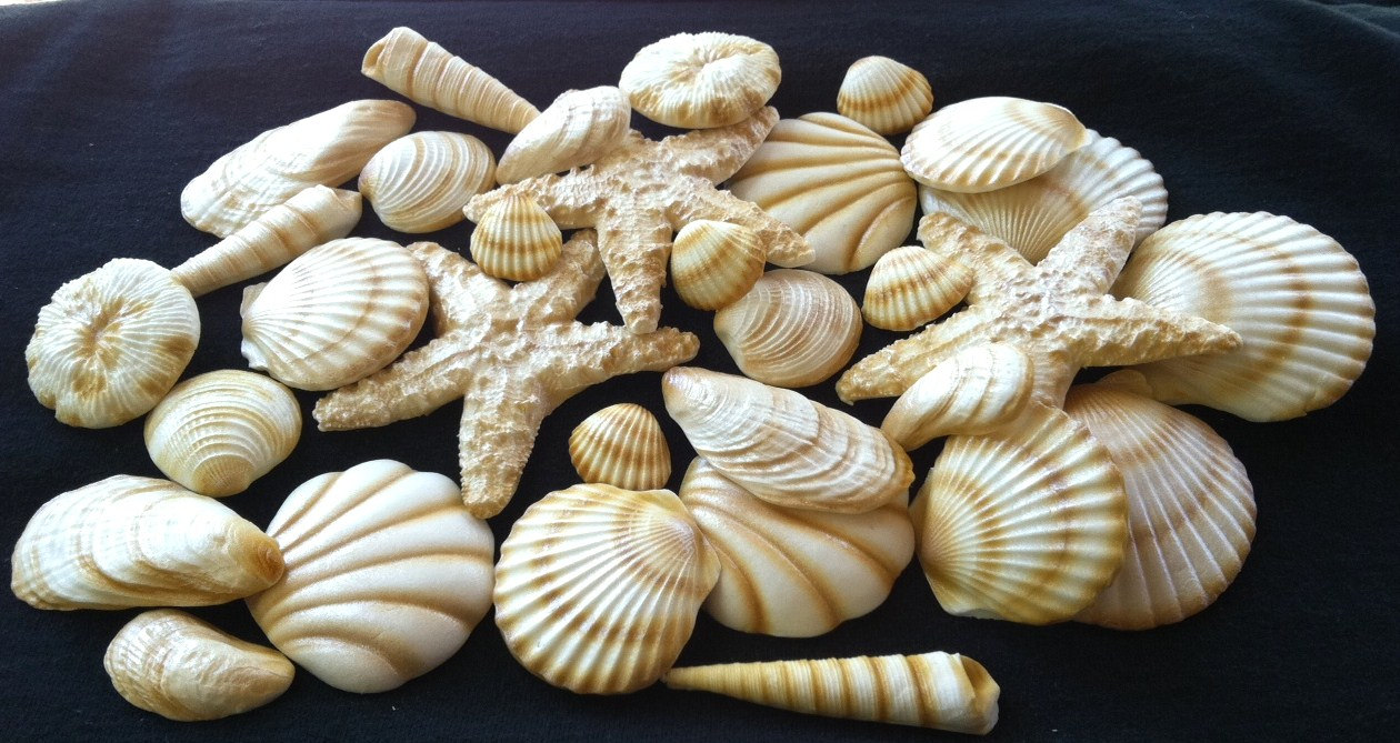 Edible Seashell Cake Decorations