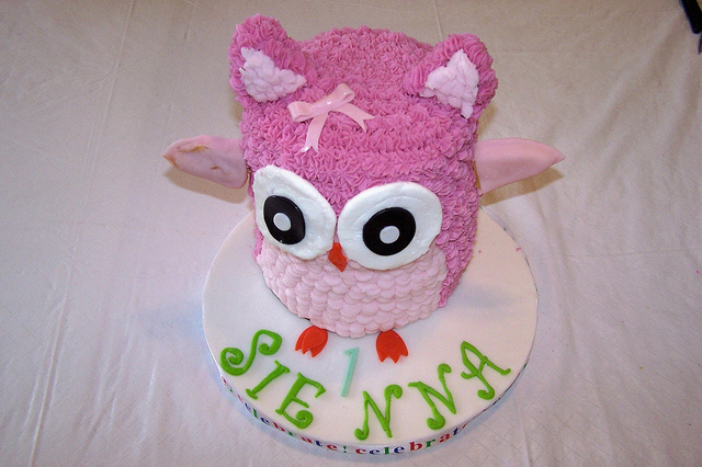 Owl 1st Birthday Smash Cake