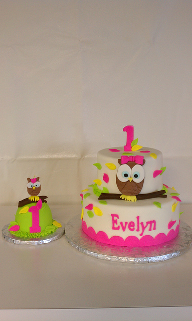 7 Photos of Owl 1st Birthday Smash Cake And Cupcakes