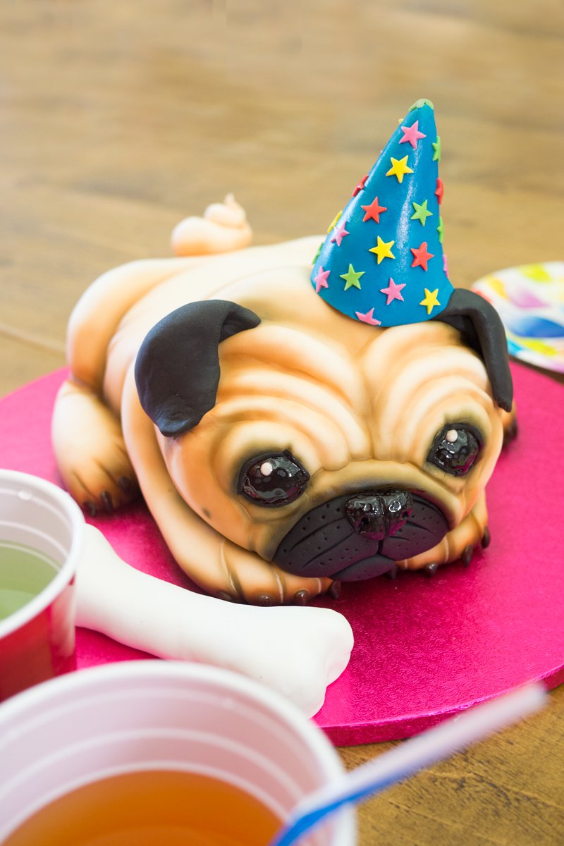 10 Photos of Pug Dog Decorated Cakes