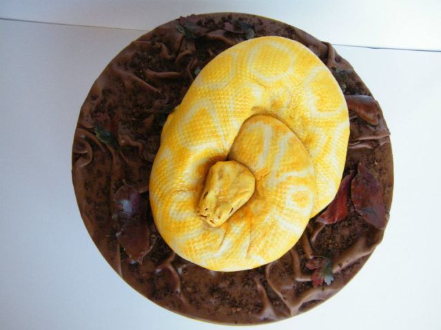 Realistic Looking Snake Cake