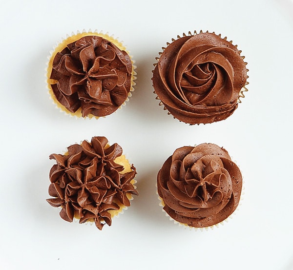 An Open Star Tip to Frost Cupcakes with a Easy Four Ways