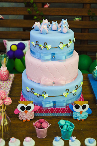 Blue and Pink Owl Birthday Cake