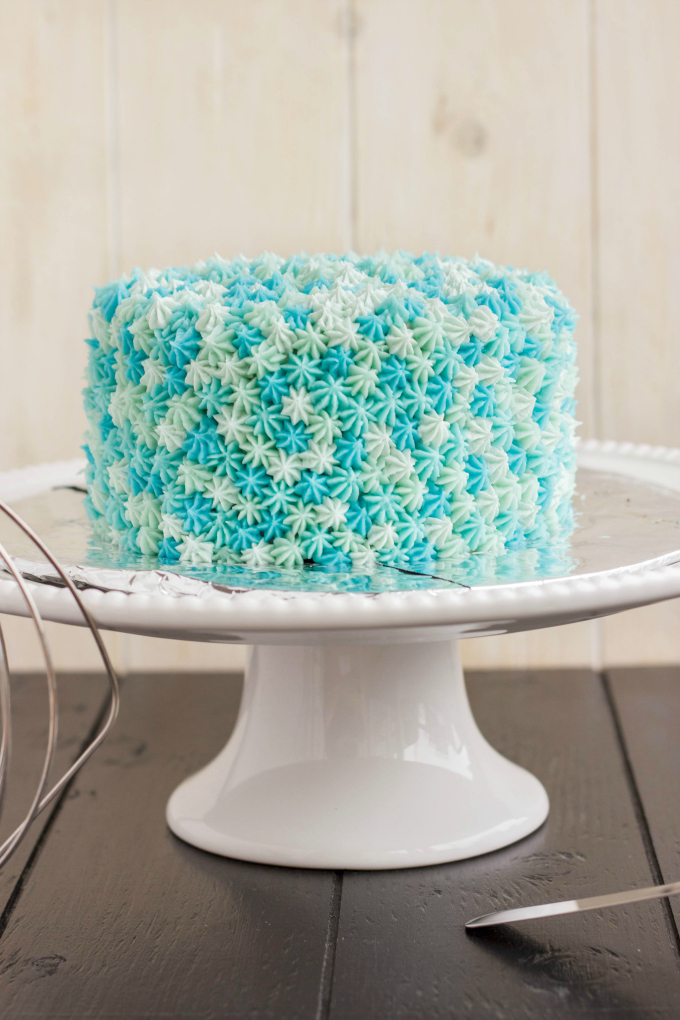 Star Tip Cake Decorating Ideas