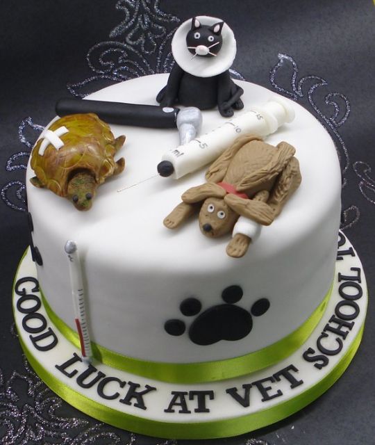 Vet Cake