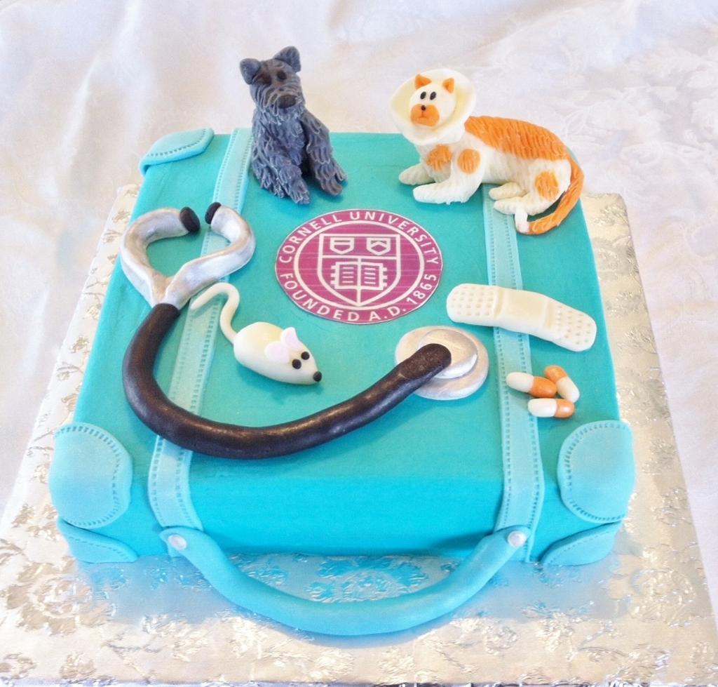 Veterinarian Birthday Cake