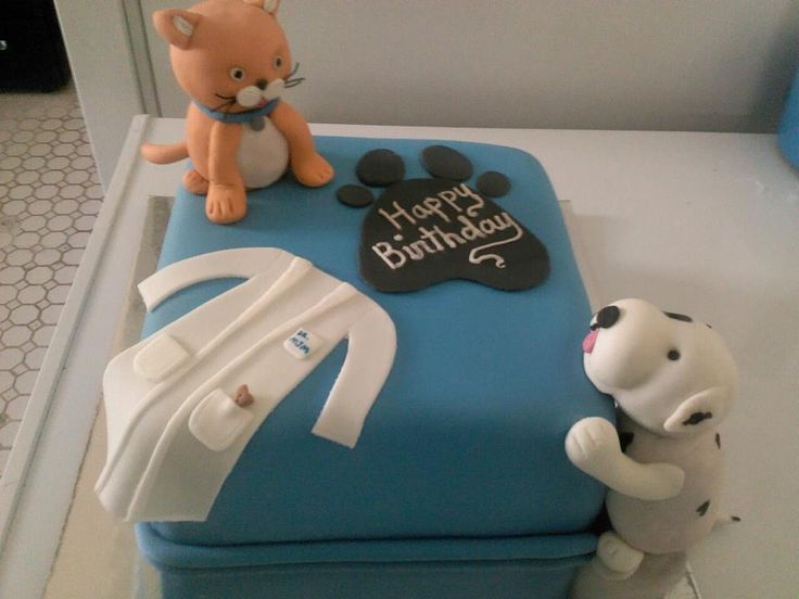 Veterinarian Birthday Cake