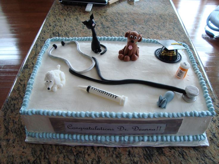 Veterinarian Graduation Cake