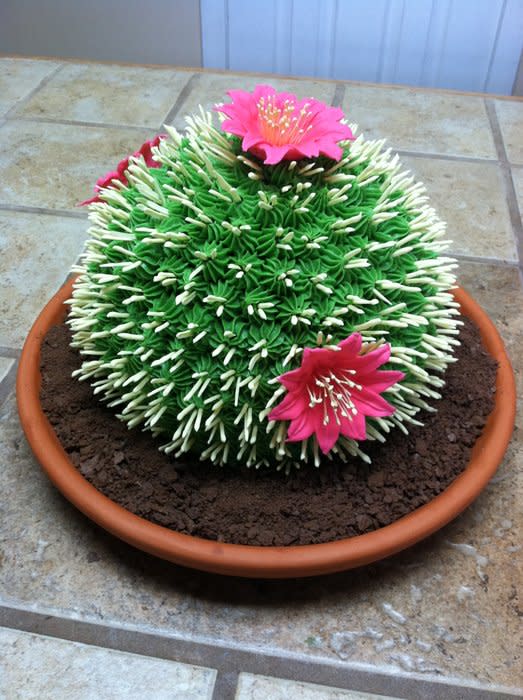 8 Photos of Birthday Cakes Coolest Cactus