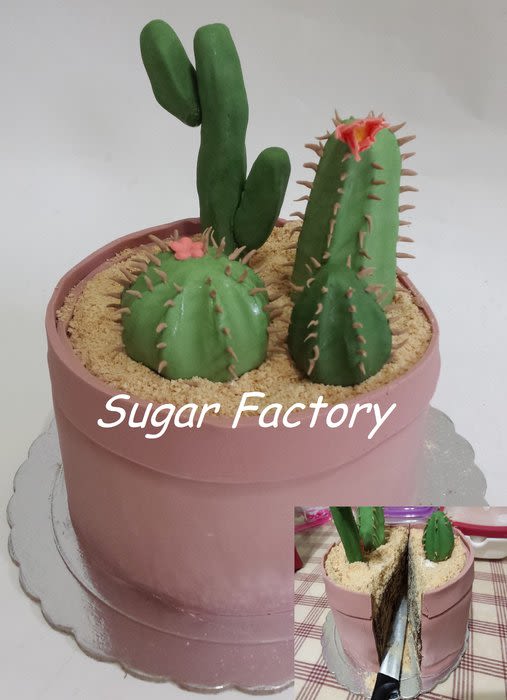 Cactus Cake