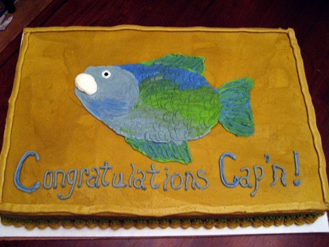 Congratulations Sheet Cake