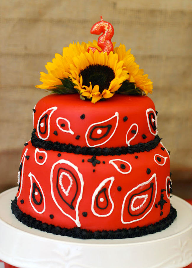 Country Western Birthday Cakes