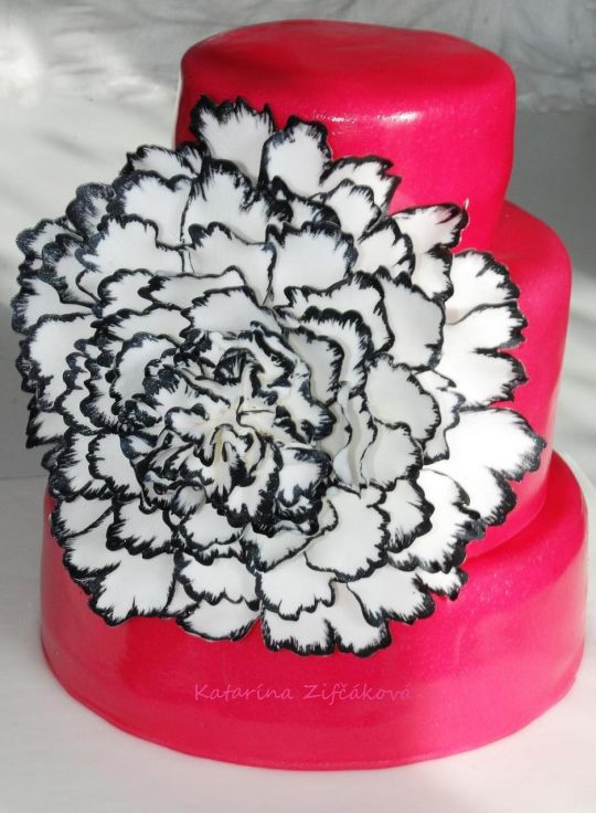 Elegant Pink Black and White Cake