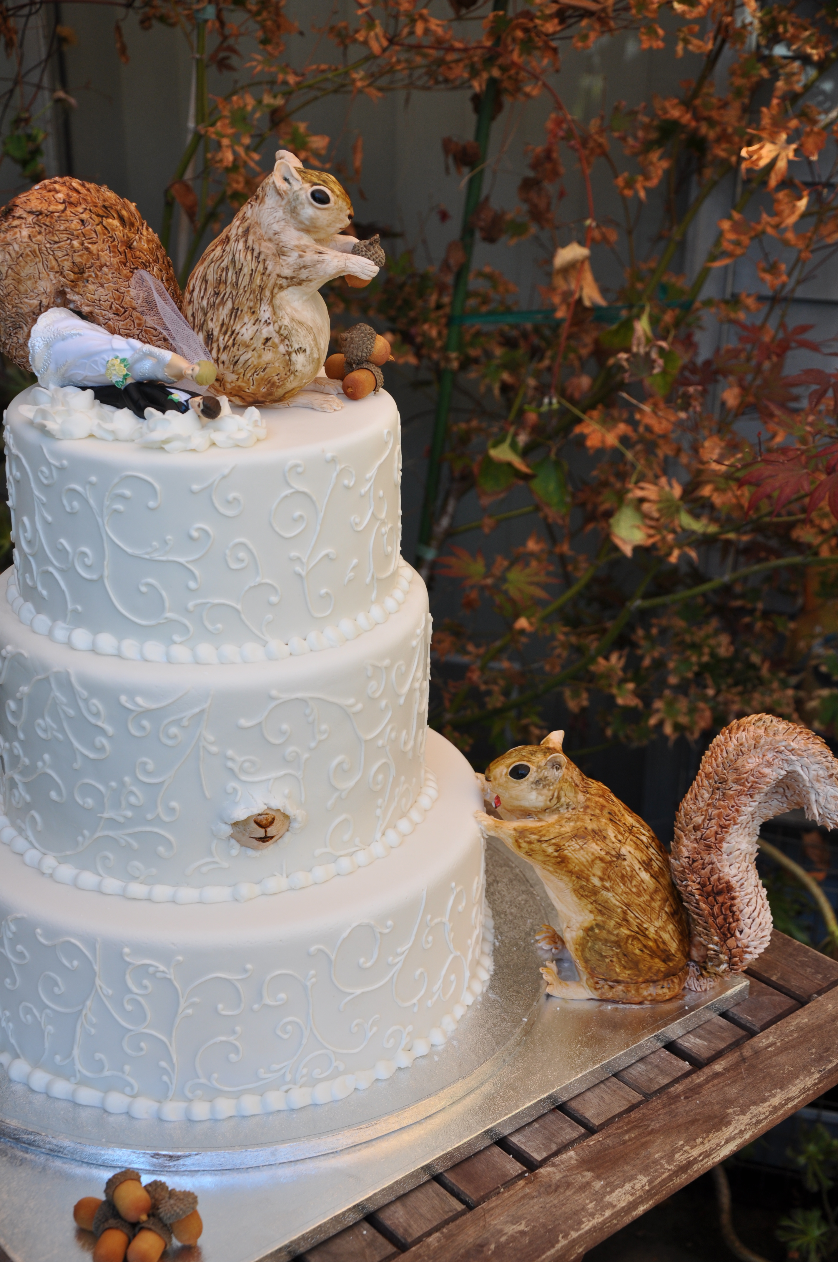 Squirrel Eating Wedding Cake