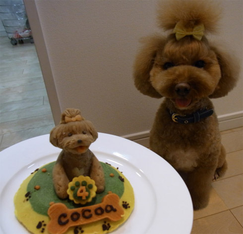 5 Photos of Birthday Cakes That Look Like Dogs