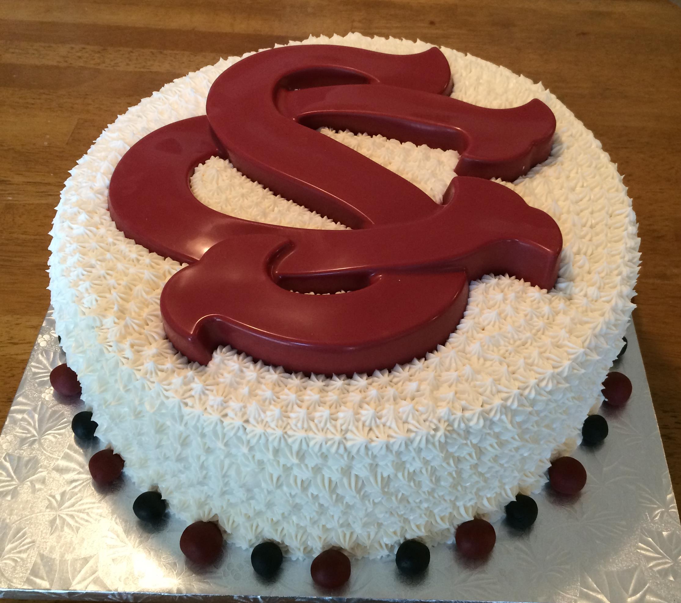 Carolina Gamecocks Birthday Cake