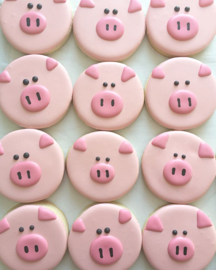 Cute Decorated Sugar Cookies