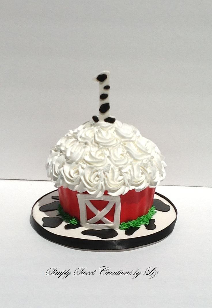 Farm Theme Smash Cake