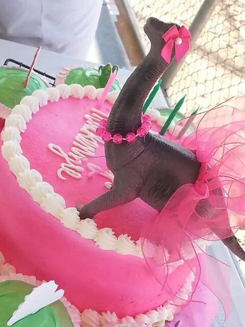 Girl Dinosaur Birthday Cake