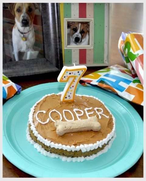 Homemade Dog Birthday Cake Recipes