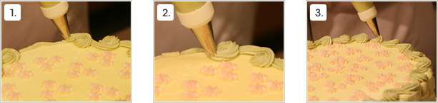 Shell Cake Decorating Techniques Borders