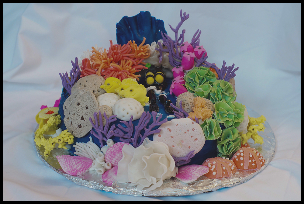 9 Photos of Coral Fifteen Birthday Cakes