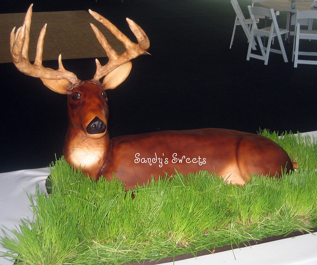 Deer Grooms Cake