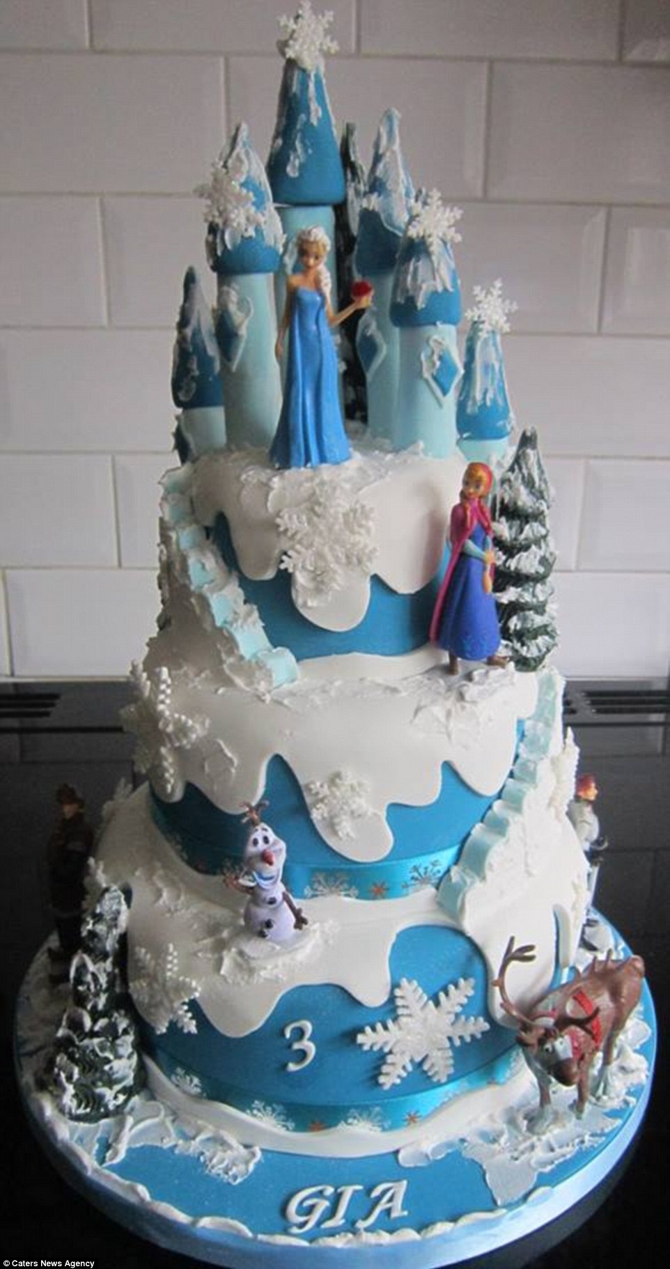 Frozen Cake