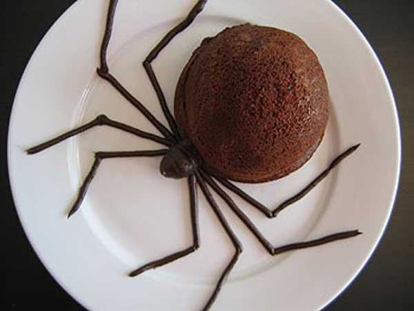 Halloween Chocolate Spider Cake