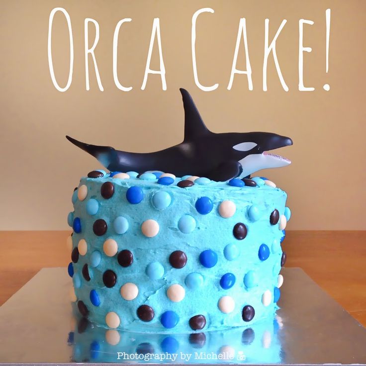 Killer Whale Birthday Cake