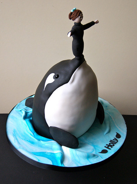 Killer Whale Birthday Cake