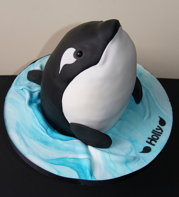 Killer Whale Birthday Cake