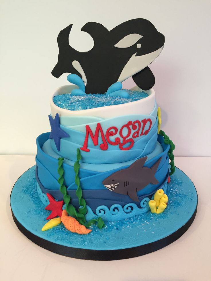 Killer Whale Birthday Cake