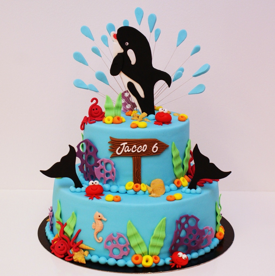 Killer Whale Birthday Cake