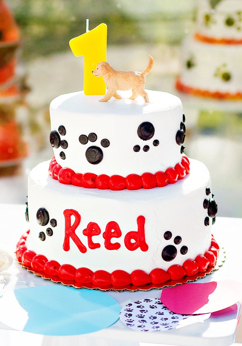 Paw Print Birthday Cake