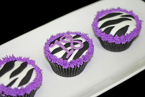 Purple Zebra Birthday Decorations