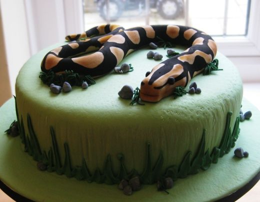 Snake Birthday Cake