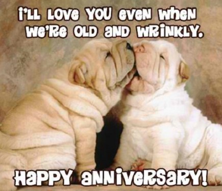 Funny Wedding Anniversary Quotes