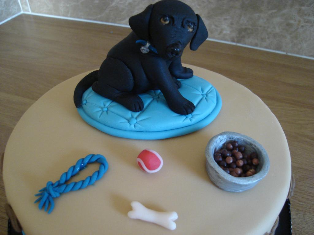 Labrador Dog with Birthday Cake