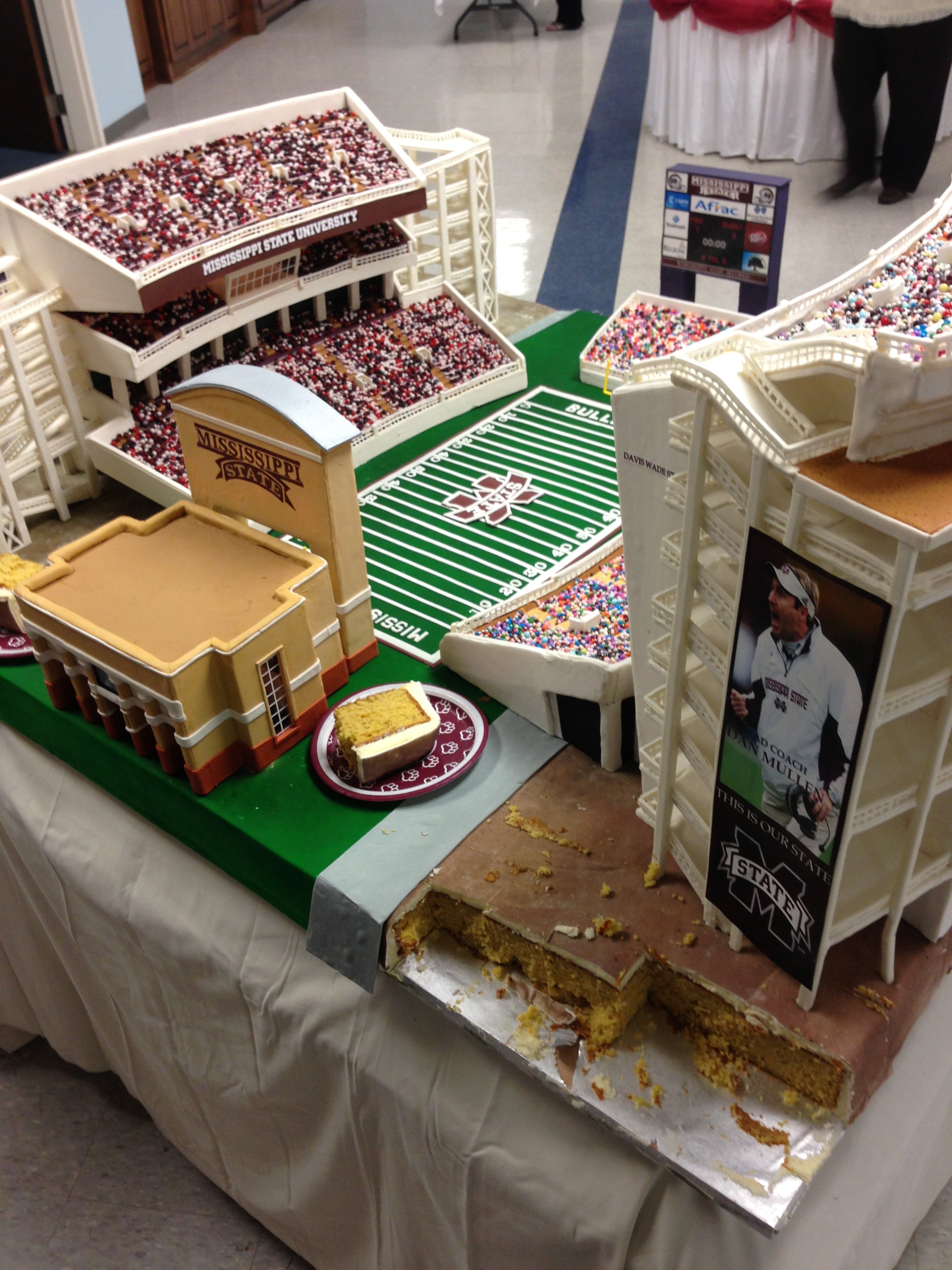 13 Photos of Mississippi State University Groom's Cakes